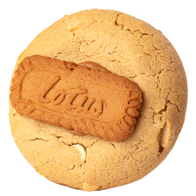 Madison Square Macadamia NY Style Cookie 150g Single